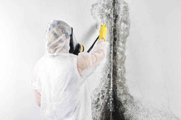 Best Emergency water damage restoration  in Portage, IN